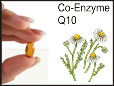 Estudio sobre Coenzima Q10 y fibromialgia Estudio sobre Coenzima Q10 y fibromialgia