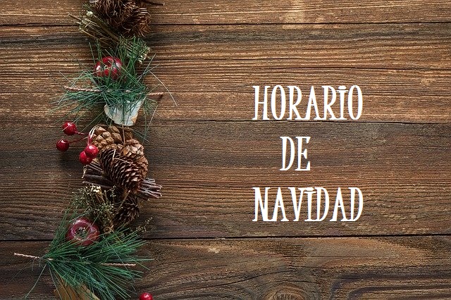Horario de Navidad 2019 Horario de Navidad 2019