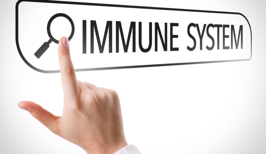 El sistema inmunológico, implicado en la Fibromialgia El sistema inmunológico, implicado en la Fibromialgia